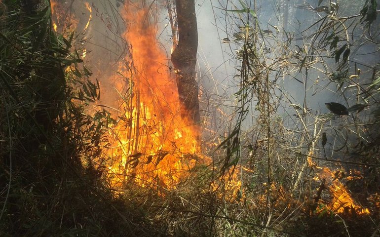 'Certamente alguém pôs fogo', diz chefe do Parque da Serra dos Órgãos