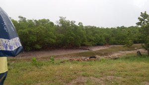 ÁREA DO ACIDENTE