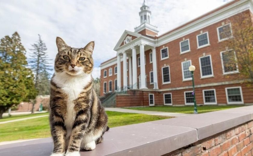 Gato recebe diploma honorário da Universidade de Vermont, nos Estados Unidos