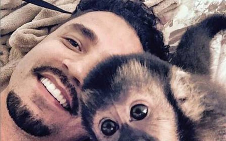Macaco do cantor Latino morre atropelado no Rio