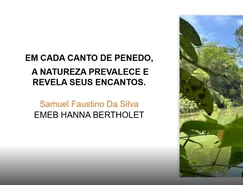 Screenshot 2025-12-11 13.34.57.png 