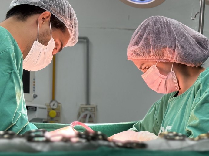 HGE inicia o fim de semana realizando captação de dois rins e um fígado para transplante