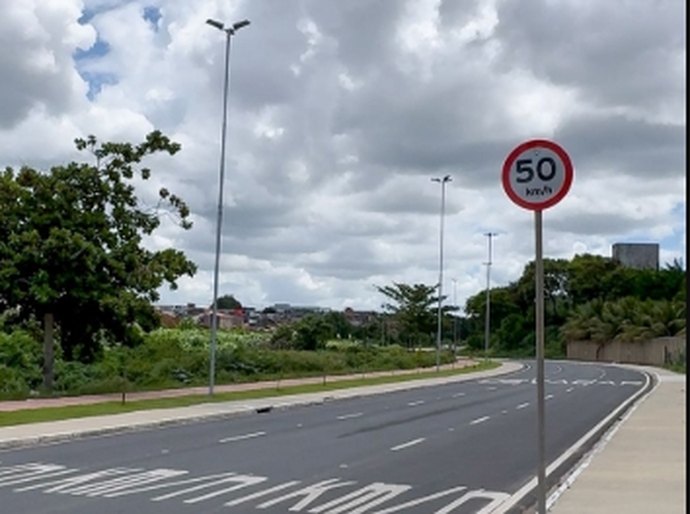 SMTT Arapiraca orienta condutores sobre cuidados com animais nas vias