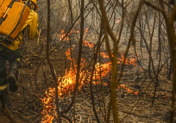 Queimadas no Pantanal e na Amazônia batem marcas históricas