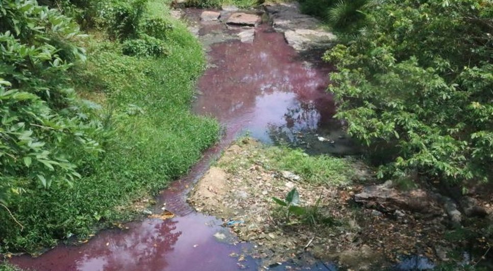 Corpo é encontrado enterrado em cova rasa às margens do Rio Piauitinga no Sul Sergipano