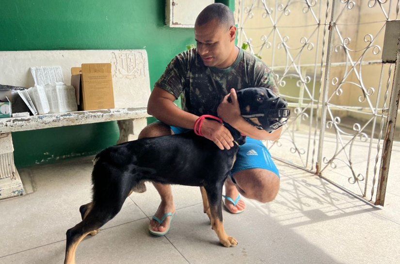 Mais de 6 mil animais são vacinados no DIA D Contra a Raiva em Palmeira