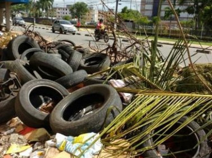 Disque Dengue recebeu este ano mais de 2 mil chamados