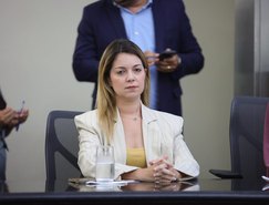 Audiencia Publica_Enfrentamento a violencia contra criancas e adolescentes -26.jpeg 