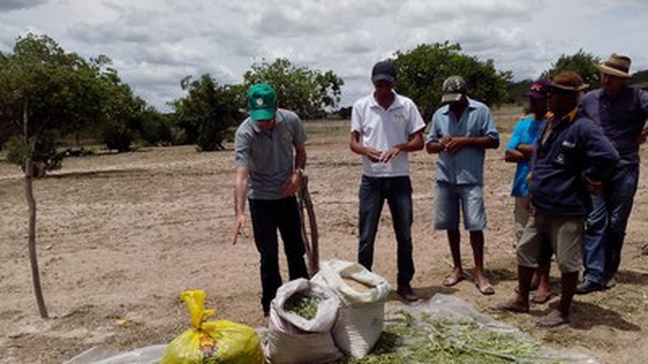 Dia de campo ensina estratégias para agricultores lidarem com a seca