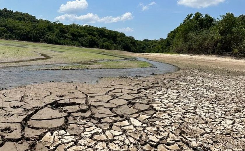 Seca atinge Olivença e  Palmeira dos Índios e outras 11 cidades no Nordeste