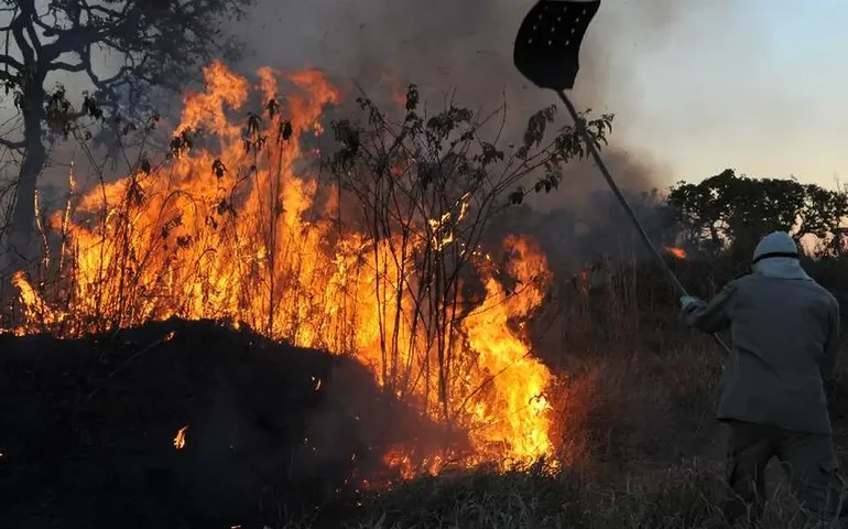 Incêndio florestal forma 'corredor de fogo' em rodovia no Pantanal; vídeo