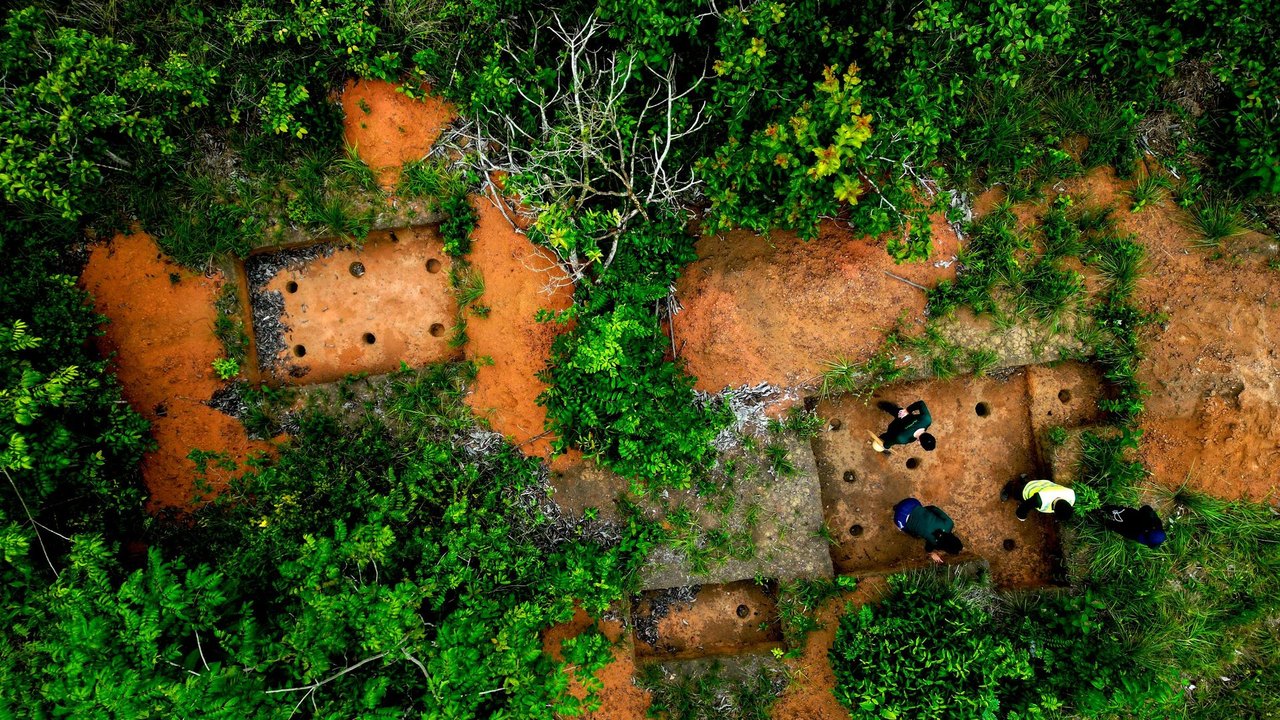 'Colonialismo científico' sobre povos originários: por que a IA mira a arqueologia da Amazônia?