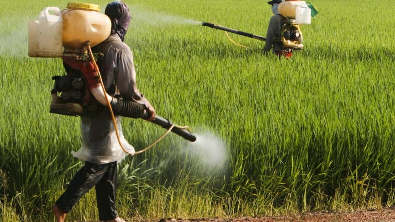Cancelado debate sobre efeitos dos herbicidas hormonais na saúde e na biodiversidade