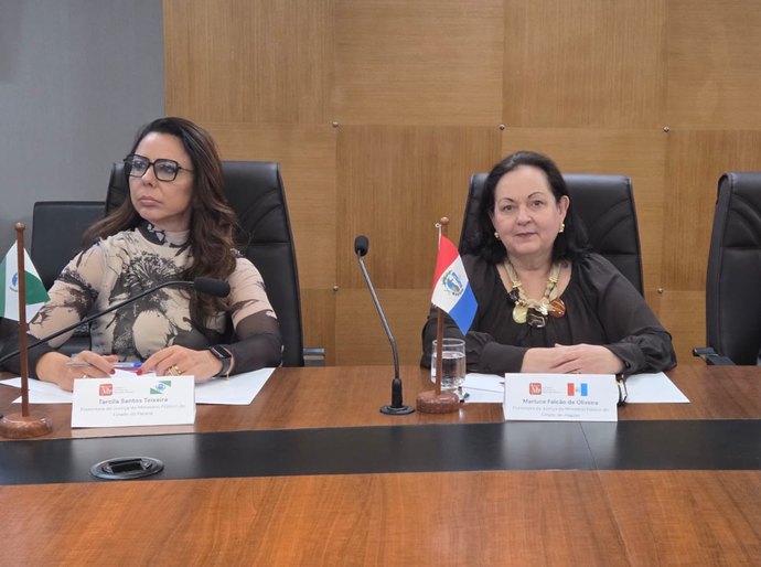 MPAL debate direitos de órfãos do feminicídio e de pessoas desaparecidas em reunião do Comitê Ministerial de Defesa dos Direitos das Vítimas em Minas Gerais