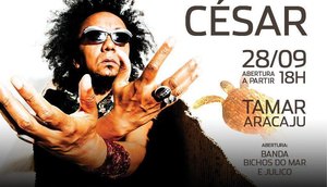CHICO CÉSAR PROJETO TAMAR