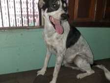 WhatsApp Image 2025 04 22 at 11.23.05 1 225x300