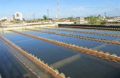 Casal trabalha para restabelecer atividades do Sistema Caçamba