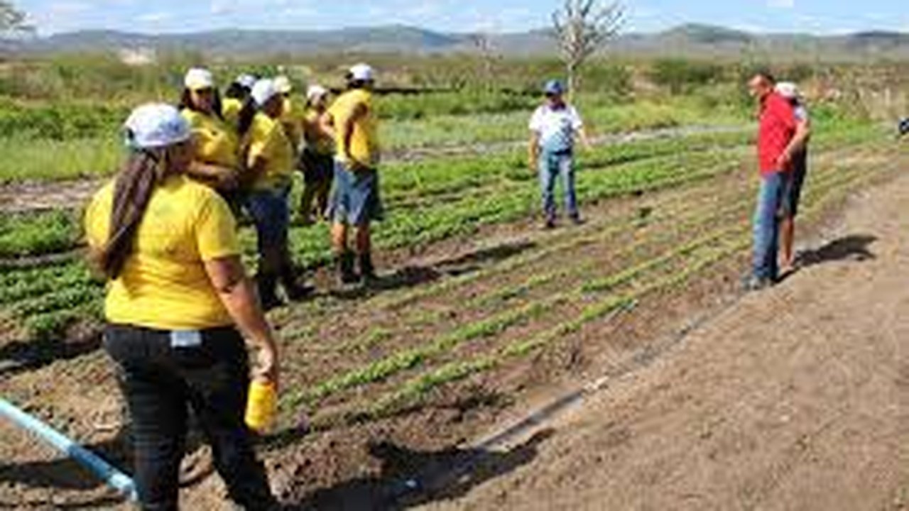Pronatec Agro: Instituições têm até sexta-feira (24) para apresentar propostas de cursos