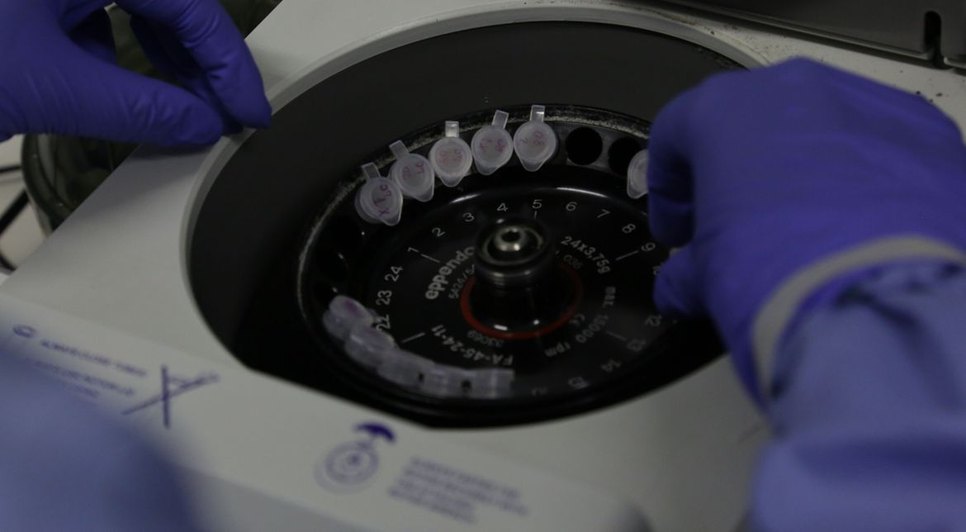 LABORATÓRIO CORONAVÍRUS / Foto: Divulgação/Josué Damacena (IOC/Fiocruz)