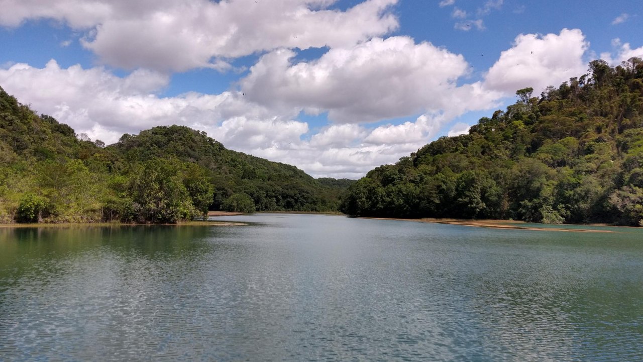 Dia Mundial do Meio Ambiente: Casal ressalta preservação das matas ciliares para produção de água