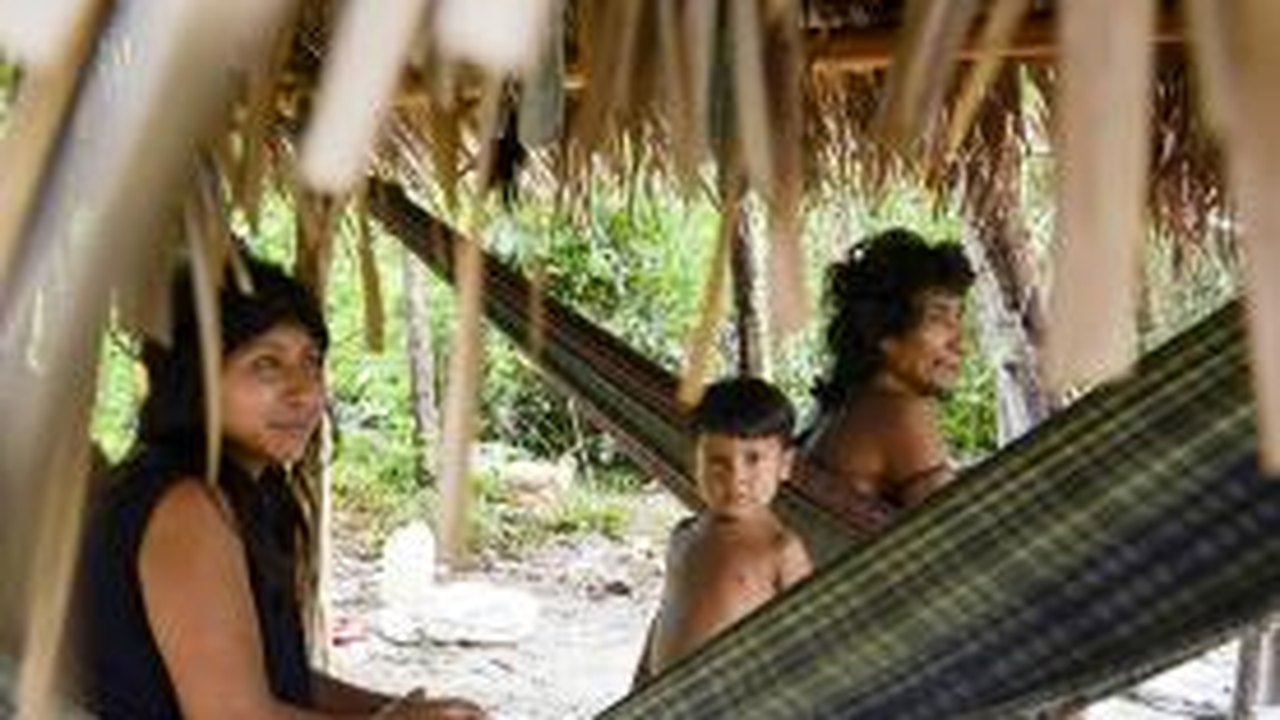 Awá-guajás estabelecem contato com índios isolados de reserva maranhens