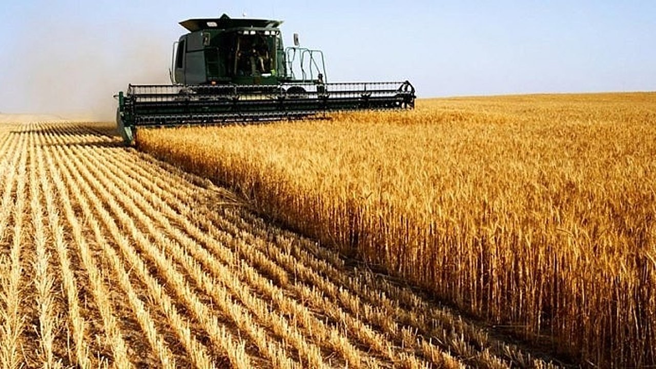 Brasil usa agrotóxicos ou de uso reduzido na Europa, apontam especialistas