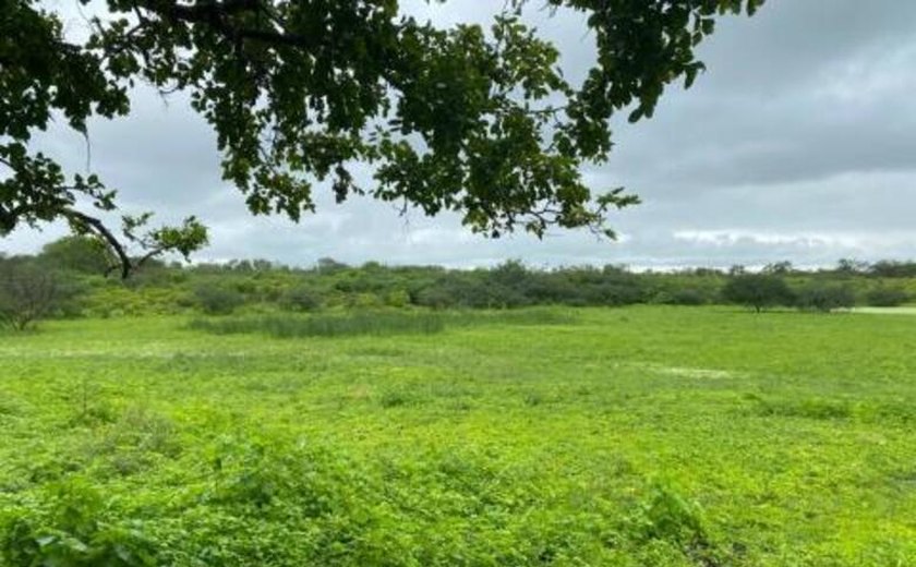 Fazenda de 780 tarefas será leiloada pela VT de Santana do Ipanema no dia 10/6