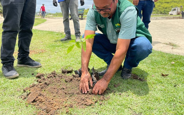 Meio Ambiente de Branquinha amplia projeto de arborização com plantio de novas mudas