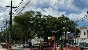 86056b0e892a5f3015ccb7cb9cebee62913