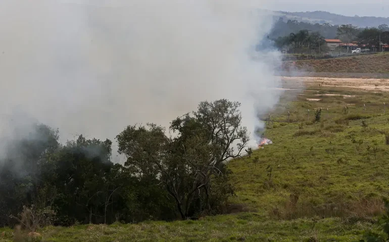 Fundo auxiliará produtores rurais atingidos por incêndios em SP