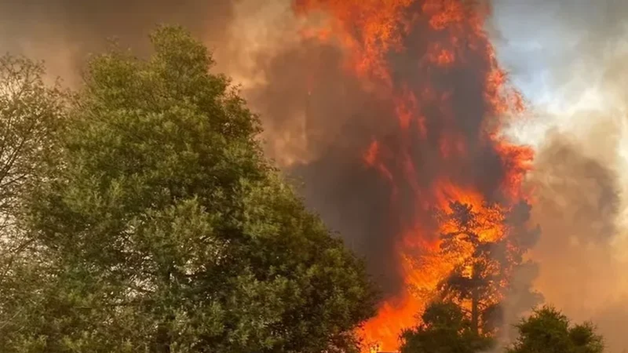 Incêndios na Califórnia: por que as florestas estão queimando nesta proporção em pleno inverno?