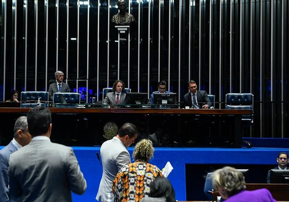 Política de incentivo à produção de coco segue para sanção