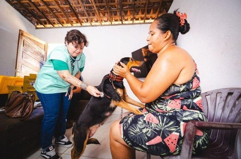 Bem-estar animal avança em Maceió com reforço de ações em 2025