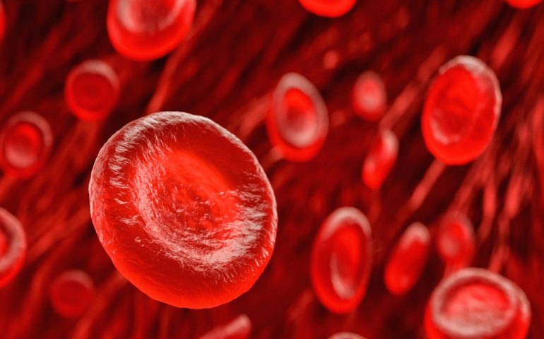 Cientistas descobrem novo tipo sanguíneo: 'Gwada negativo'