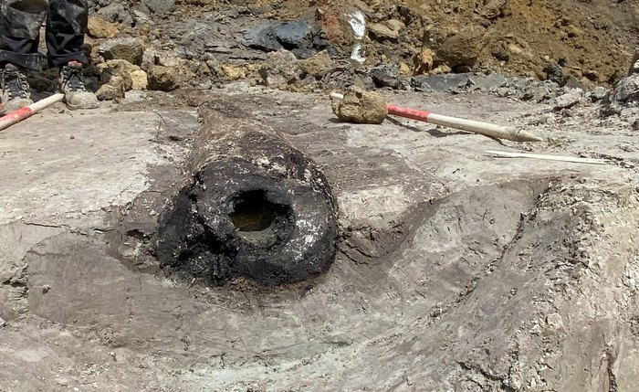 Arqueólogos descobrem tubulação de madeira romana única e preservada na Bélgica (FOTOS) Arqueólogos descobrem tubulação de madeira romana única e preservada na Bélgica (FOTOS)