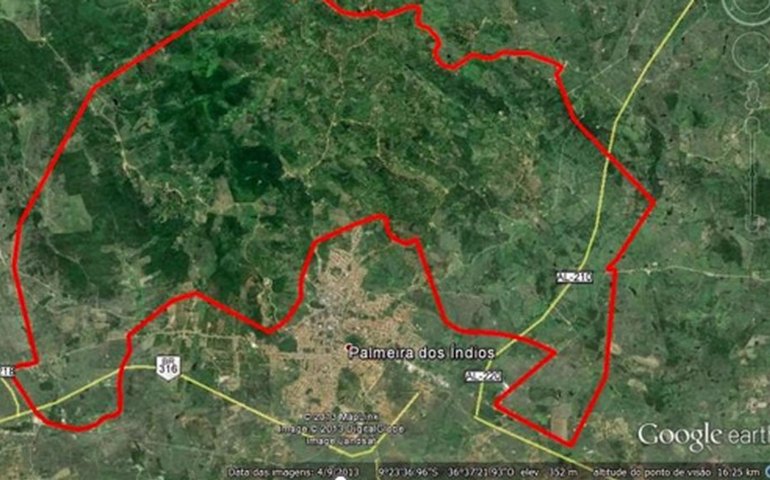 Palmeira: Entre tradições ancestrais e o desafio do marco temporal