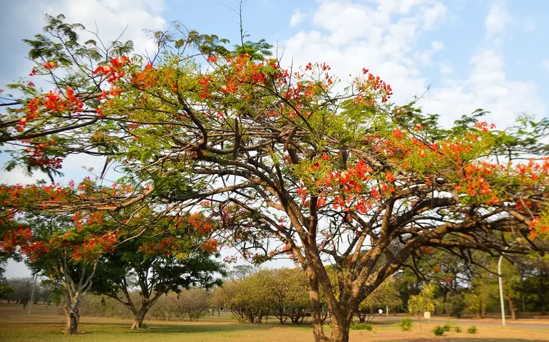 Uma pausa para a secura e as queimadas: chegou a Primavera