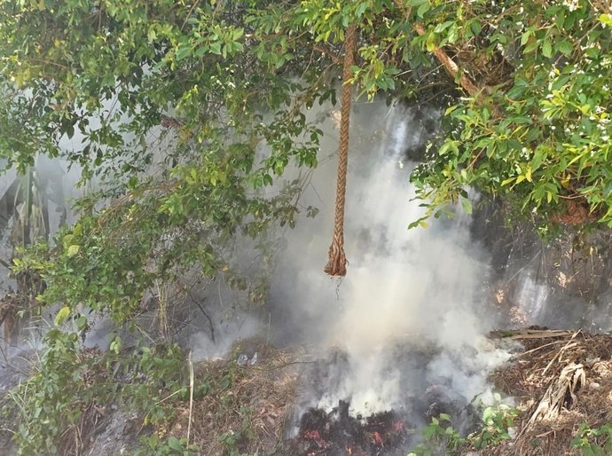 Polícia Militar registra ocorrência de incêndio em área de preservação em Fernão Velho