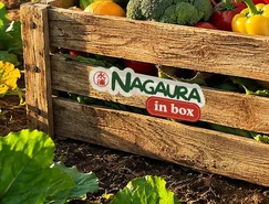 NAGAURA.1.jpeg 