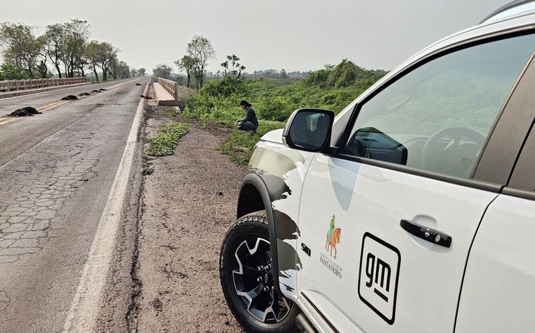 Guardiã do Pantanal: IA é usada para monitorar bioma do espaço à Terra (VÍDEO)