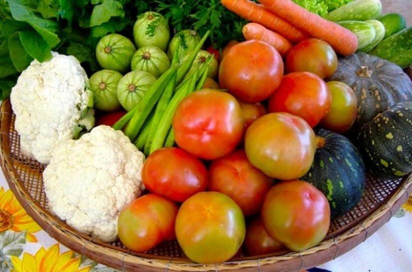 Plano Estadual de Segurança Alimentar vai priorizar população mais vulnerável