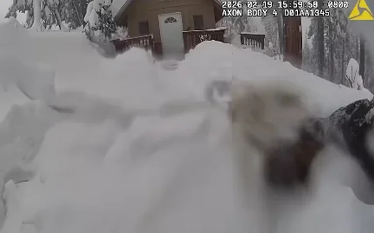 Homem e cachorro resgatados de cabana isolada durante rigoroso inverno.