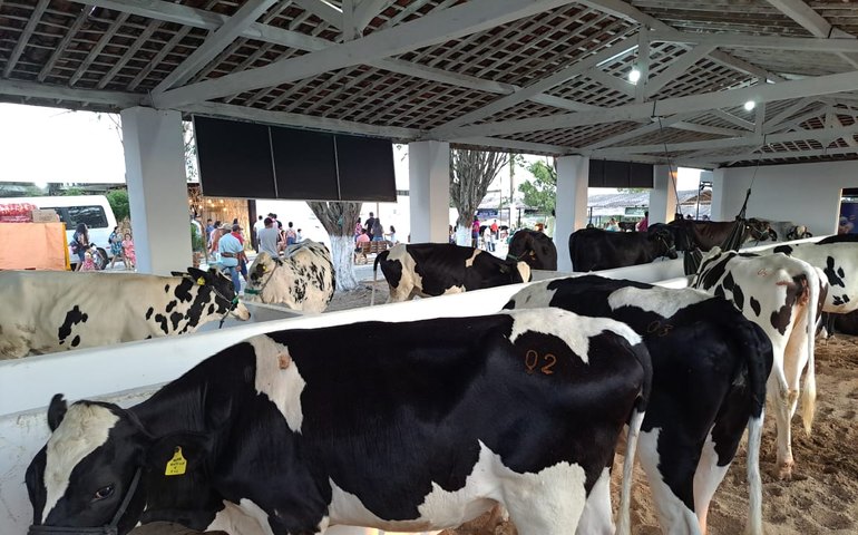 Último dia da 39ª Expo Bacia será marcado por visita de autoridades e premiações