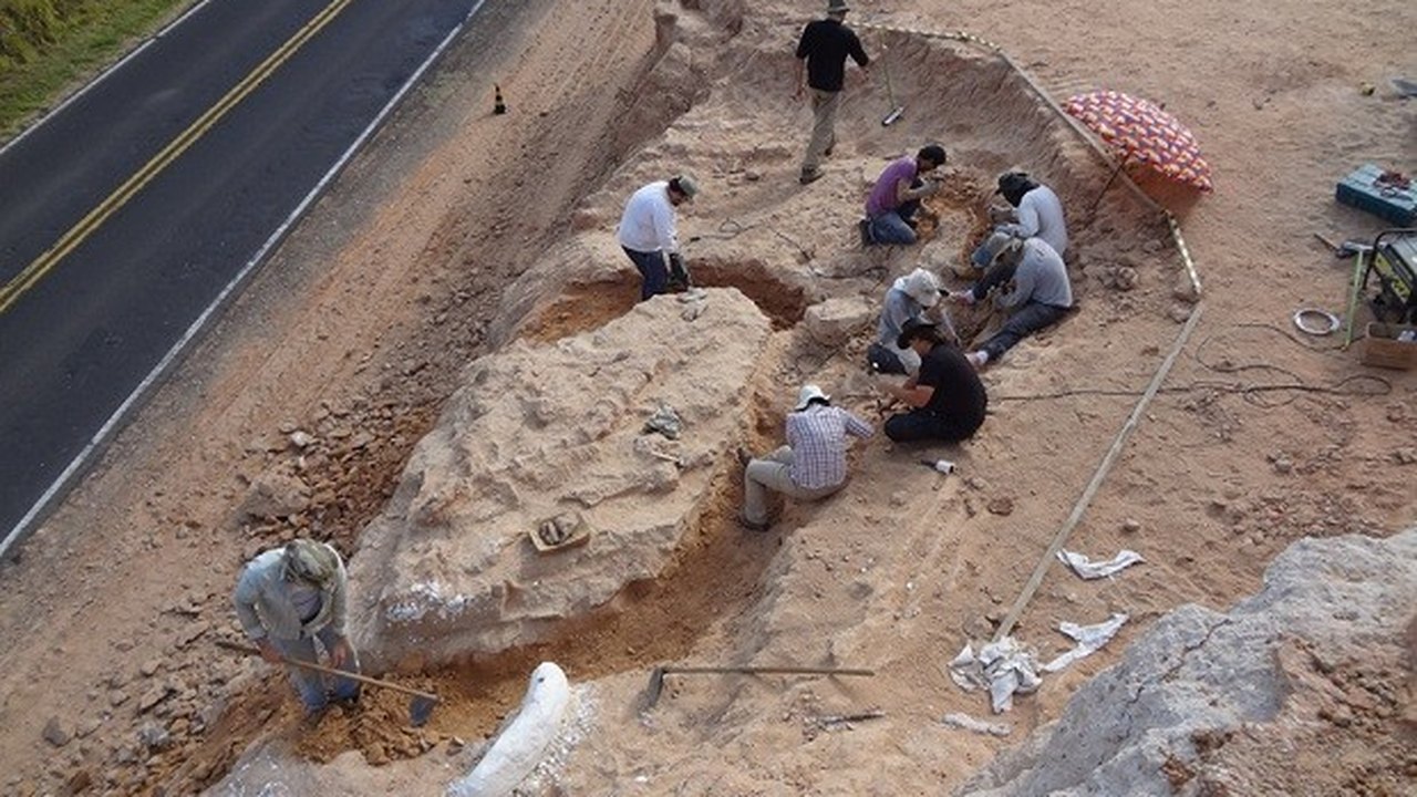 Pesquisadores estudam fóssil de dinossauro que viveu há 70 milhões de anos
