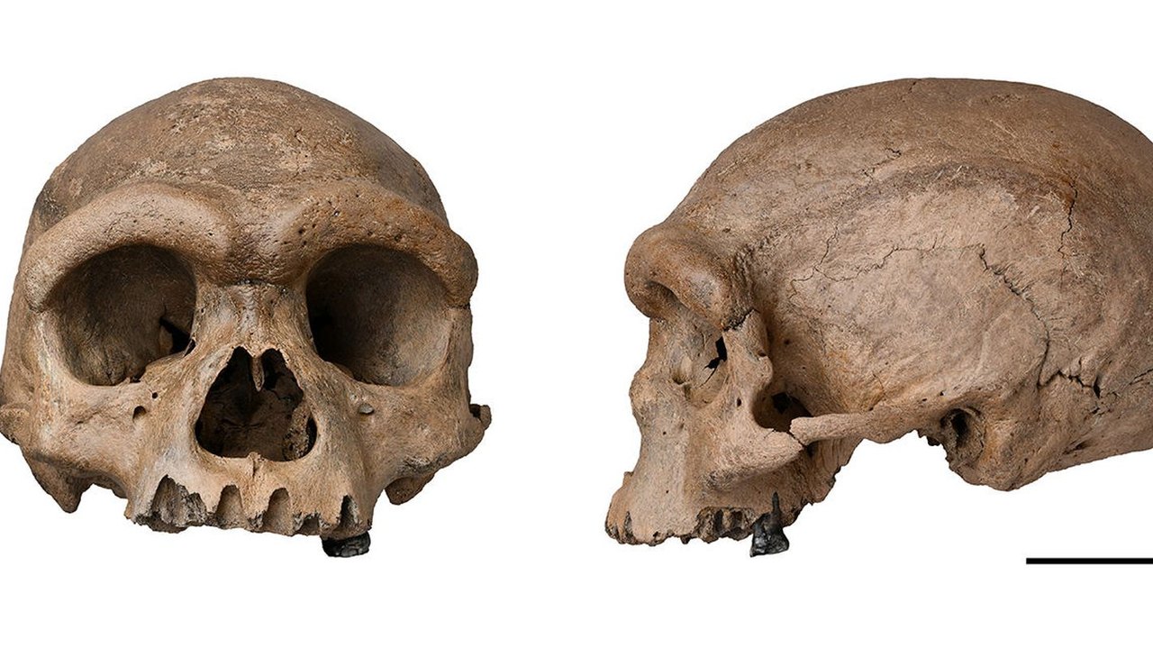 Crânios humanos são encontrados enterrados em suposto santuário em Uganda