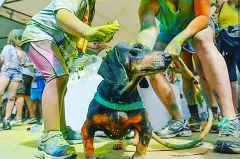 Corrida das Cores: Maceió sedia torneio nacional de corrida neste domingo (3)
