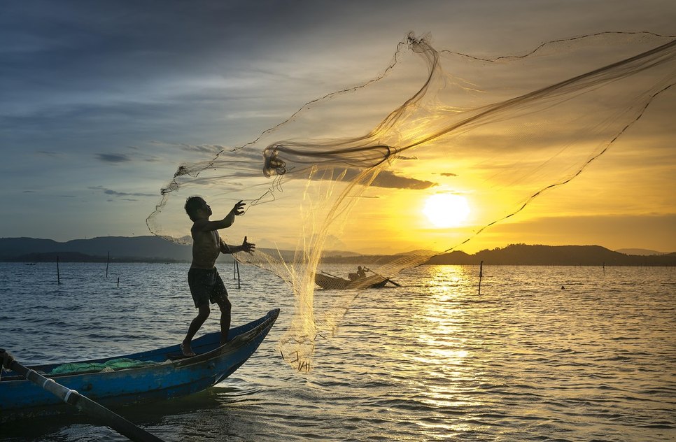 image / Foto: Foto: Pixabay