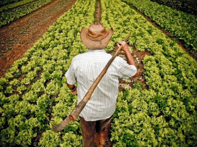 Emater delega técnicos para nove municípios do Médio Sertão