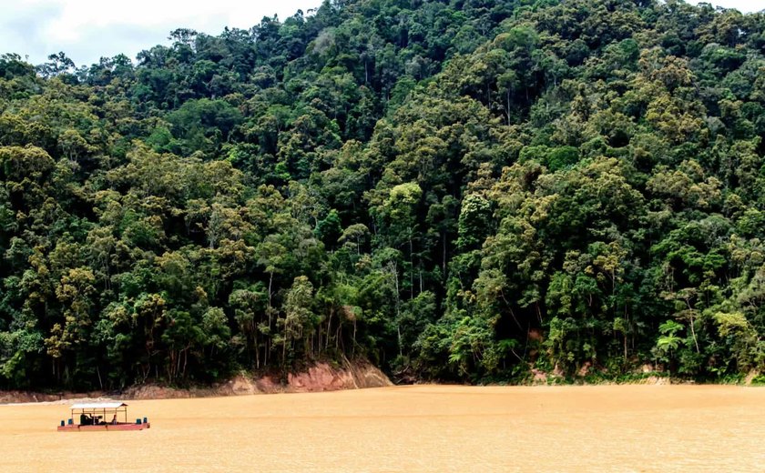 Baseadas em ativos da floresta, startups da Amazônia impulsionam a bioeconomia