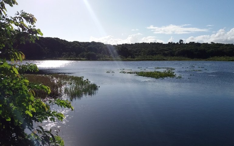APA da Marituba do Peixe comemora 35 anos de criação